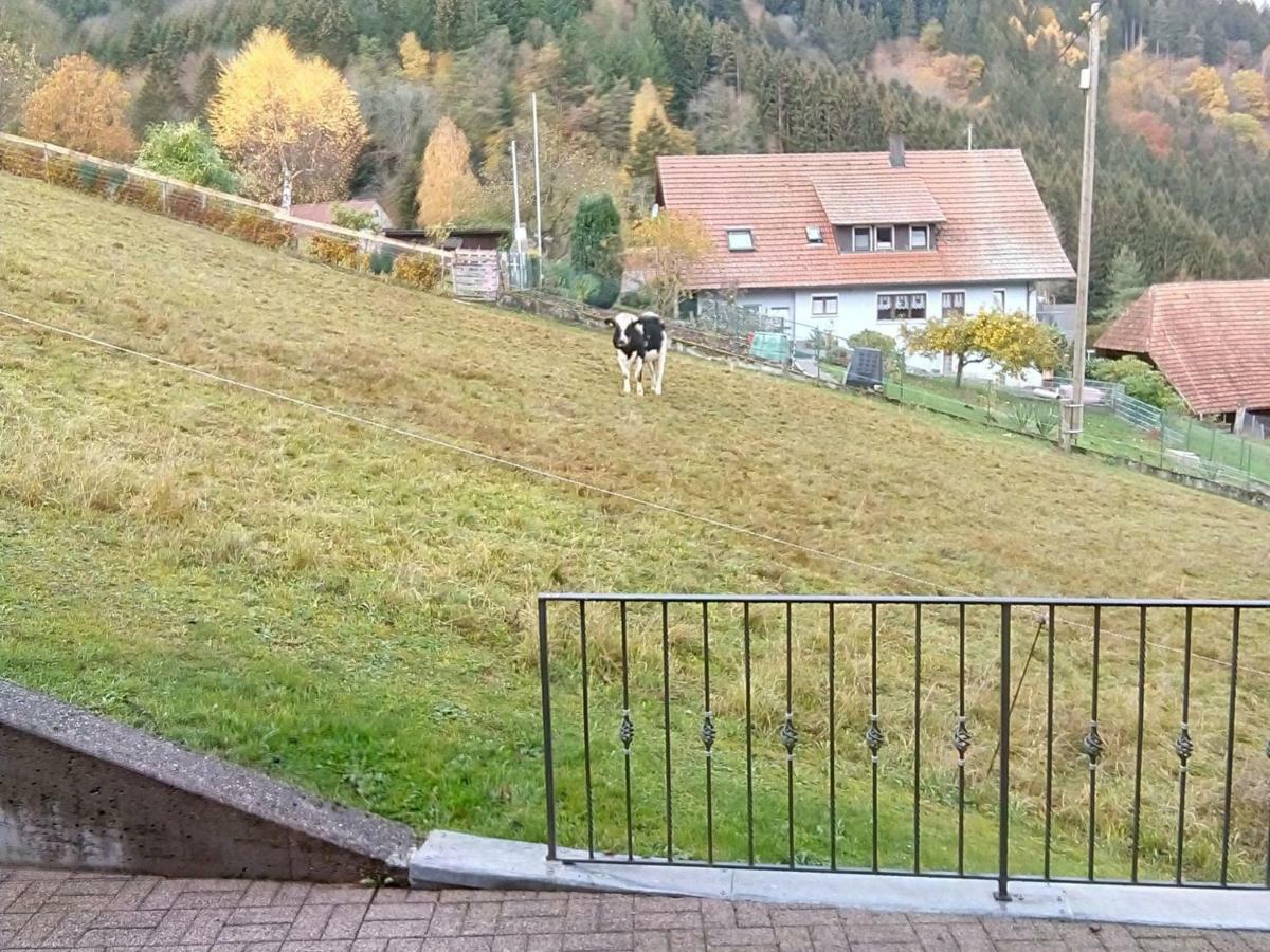 Ferienwohnung Morgensonne Wolfach Zewnętrze zdjęcie